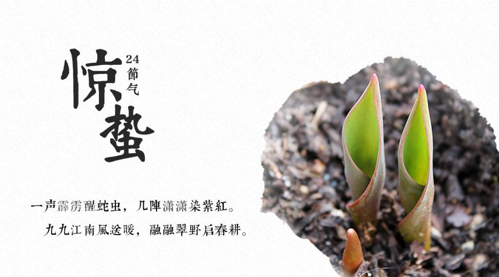 餐飲空間設(shè)計你現(xiàn)在不搞，那要等什么時候搞