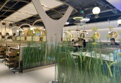 餐廳生意不好應(yīng)該怎么辦，餐飲老兵的8條建議：其中有幾條餐飲人都踩過(guò)！